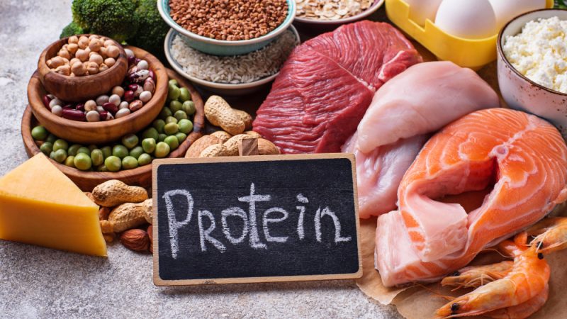proteină alternativă